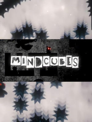 MINDCUBES - Inside the Twisted Gravity Puzzle