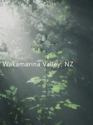 Wakamarina Valley, New Zealand