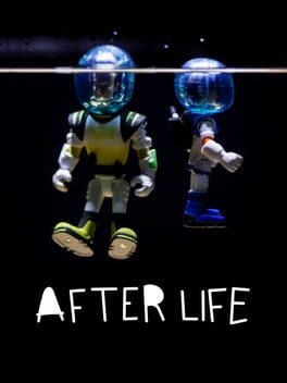 A F T E R L I F E ?