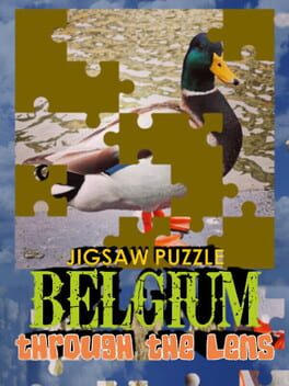 Jigsaw Puzzle: Belgium Through The Lens