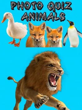 Photo Quiz - Animals