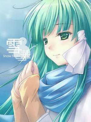 SnowNight