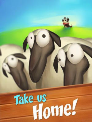 Sheep Dog