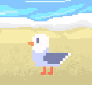 SeagullVoley