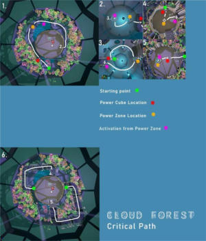 Cloud Forest