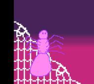 Spider Adventure