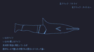いるかにうろこがないわけ
