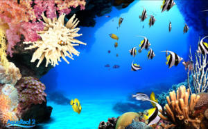DigiFish Aqua Real 2