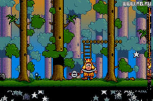 The Fantastic Adventures of Dizzy