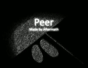 Peer