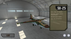 Air Combat
