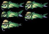 Feedin Eels