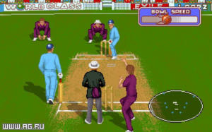 Allan Border's Cricket