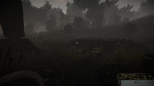Mushrooms: Forest Walker