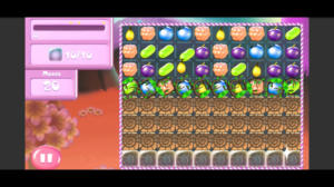 THREE CANDYBERRY MATCH