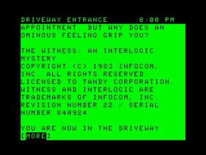 The Witness (1983)