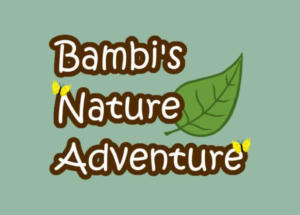 Bambi's Nature Adventure