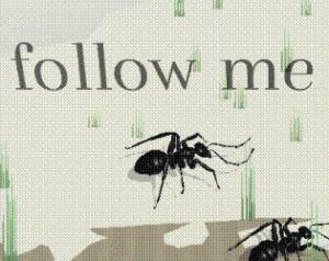 New Colony (itch)