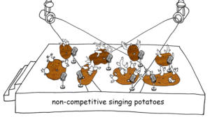 Non-Competitive Singing Potatoes