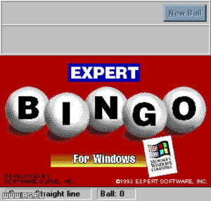 Expert Bingo