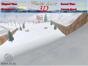 Winter Race 3D