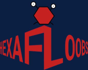 HexaFloobs