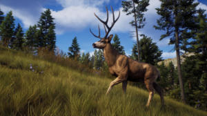 Way of The Hunter Season Pass