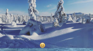 Winter Wonderland (itch)