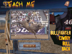 Professional Bull Rider 2