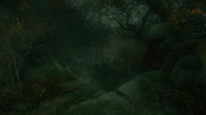 The Cursed Forest (itch)