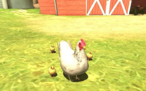 Chicken Walk