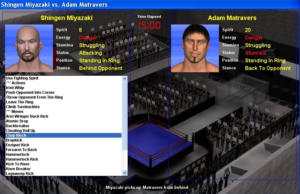 Wrestling Spirit: Rookie to Legend