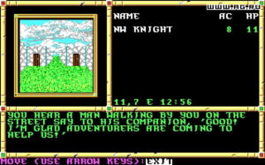 Neverwinter Nights (1991)