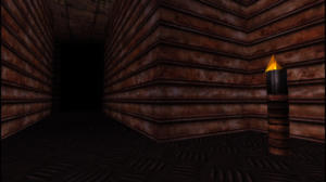 Dark Chambers