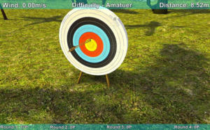 Archery Champion Bowman
