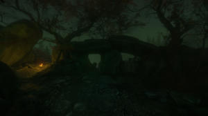 The Cursed Forest