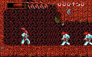 Ninja Rabbits