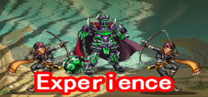 Experience